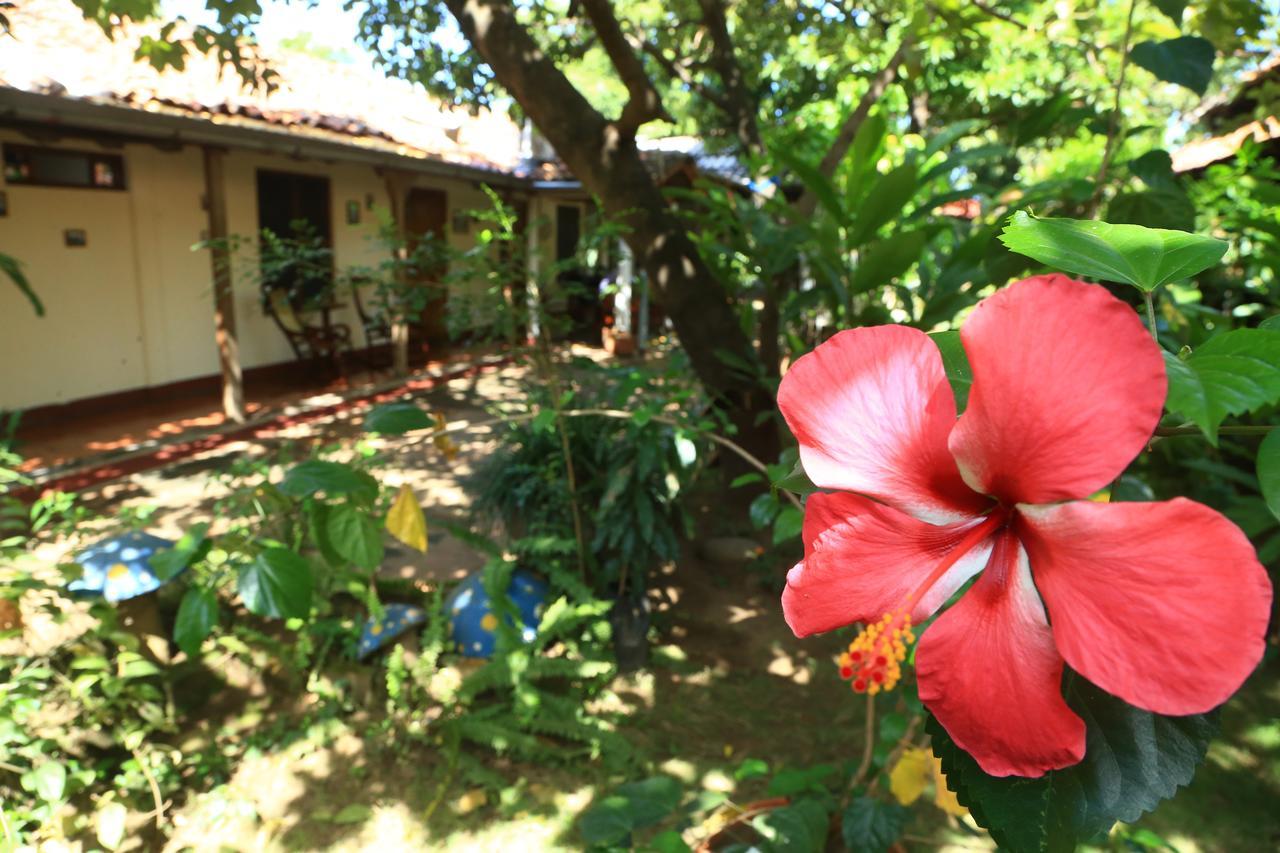 Casa De Los Berrios León Екстериор снимка